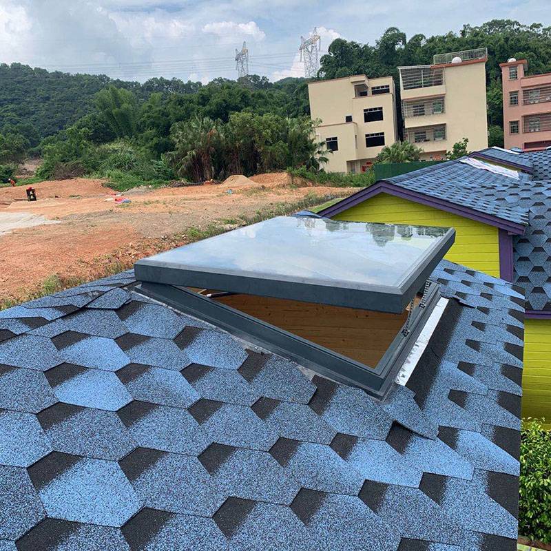 ルーフアクセスの革新は、建物のデザインを変換する天窓ですか？